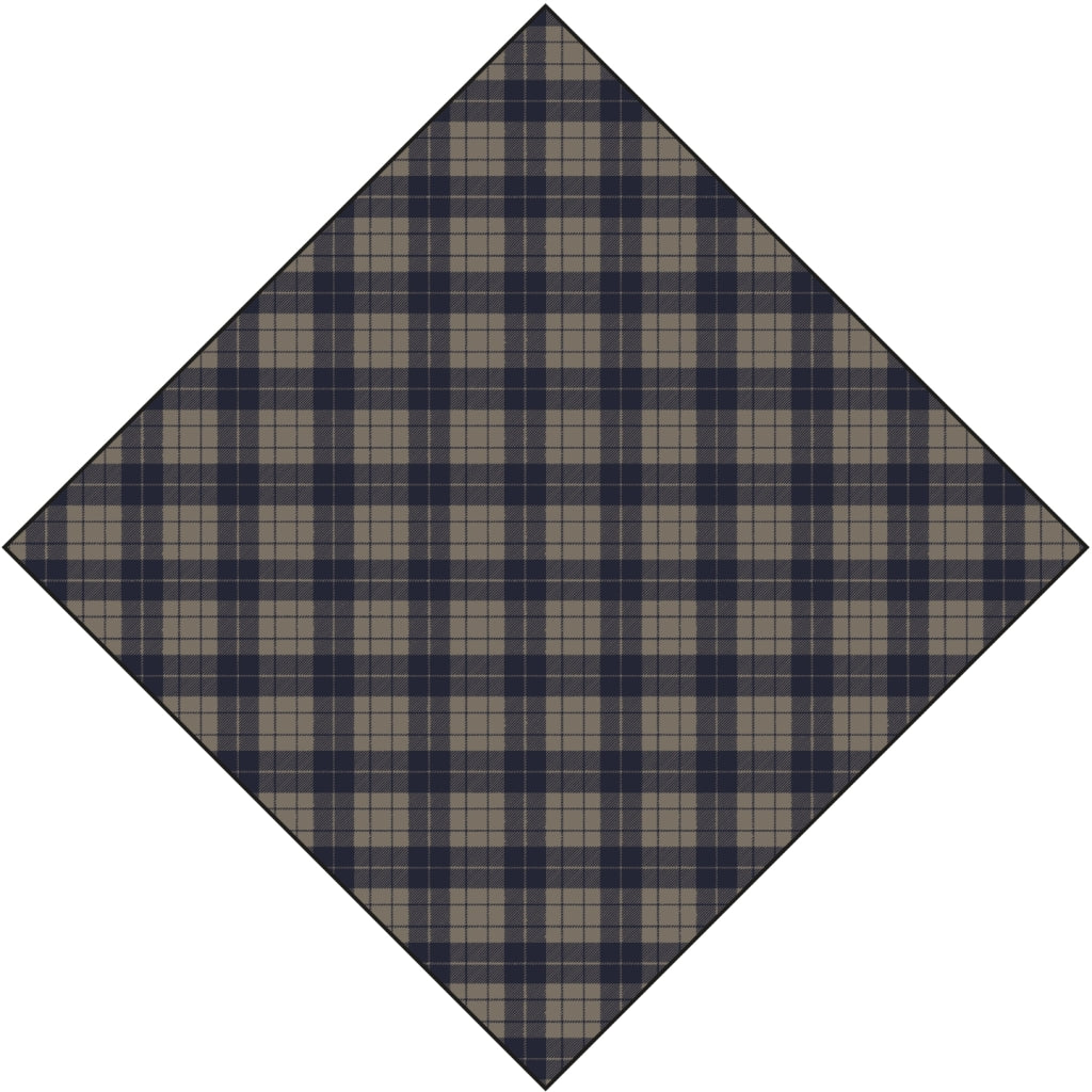 Redgreen Women RG_Robbie Halstørklæde 268 Navy Check